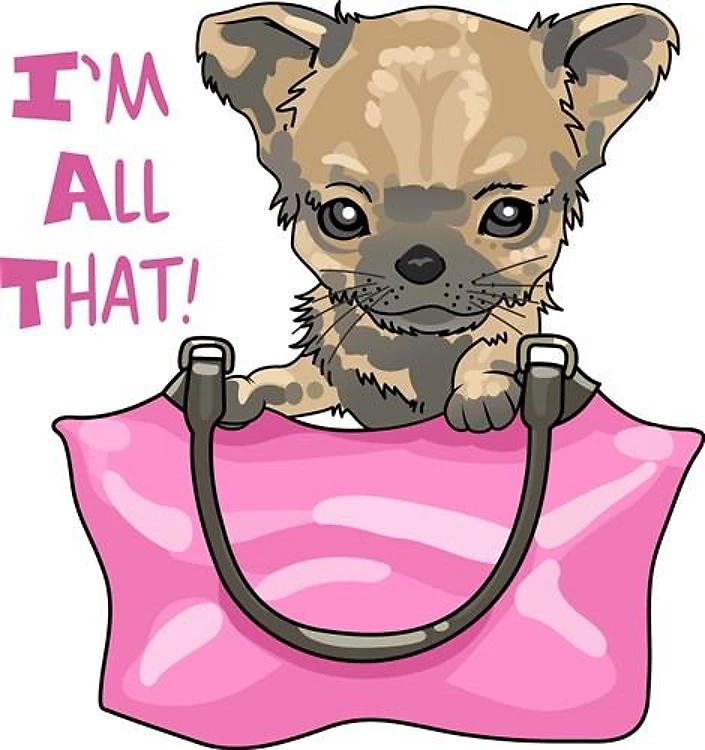 CHIHUAHUA IM ALL THAT