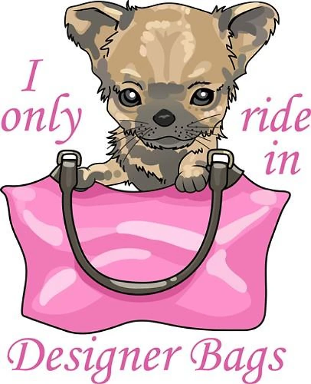 RIDE IN DESIGNER BAG