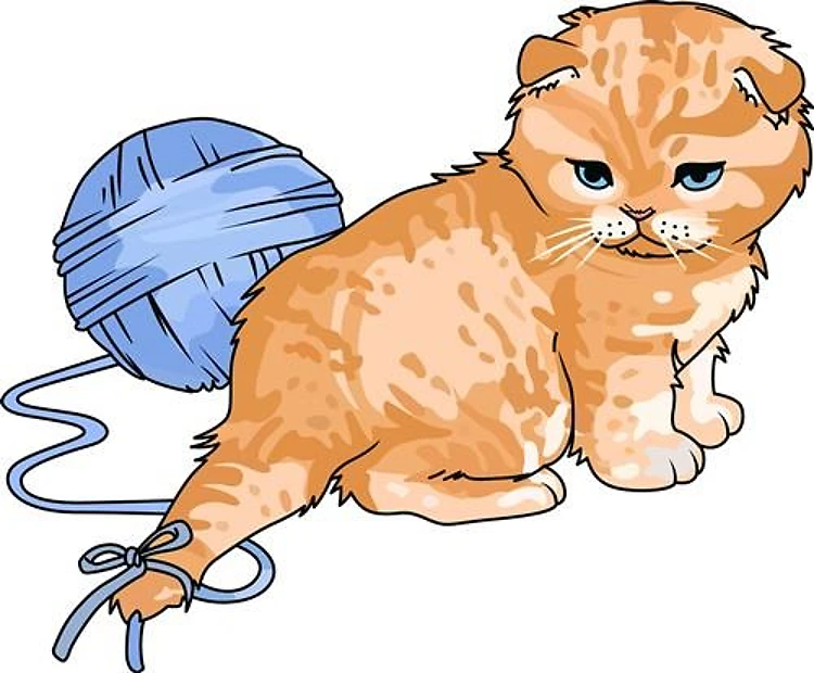 YARN ON CAT