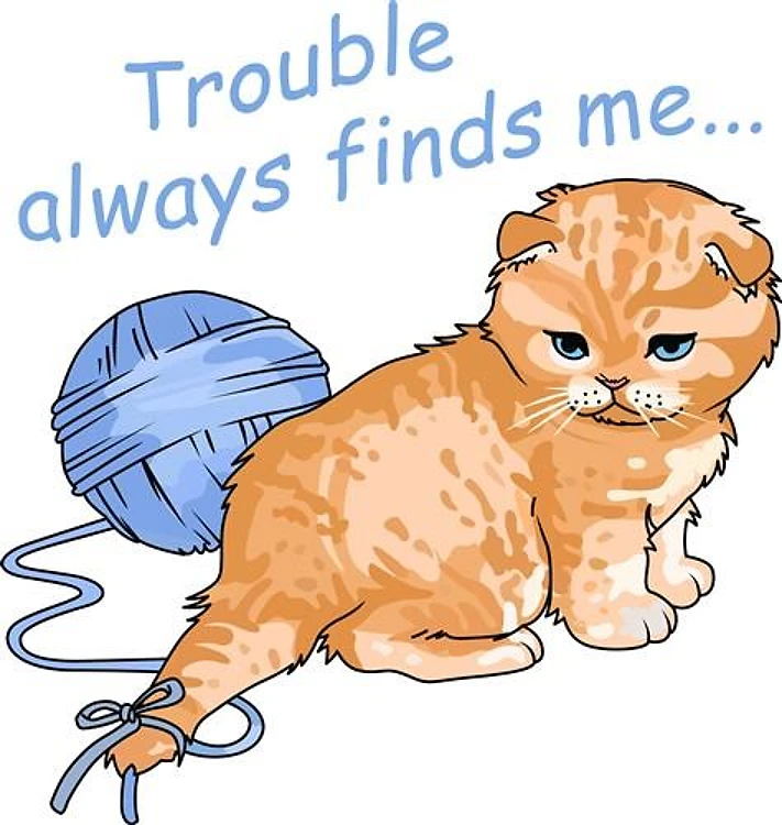 TROUBLE FINDS ME