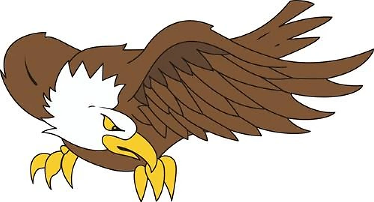 BALD EAGLE