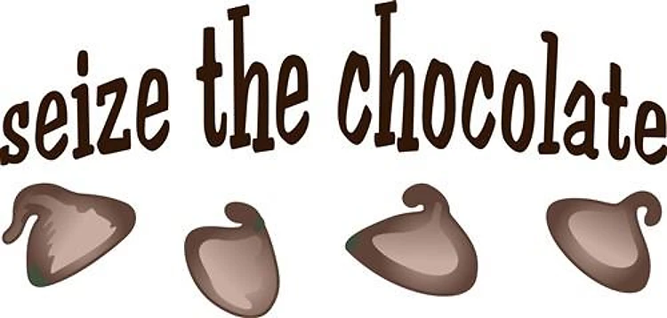 SEIZE THE CHOCOLATE