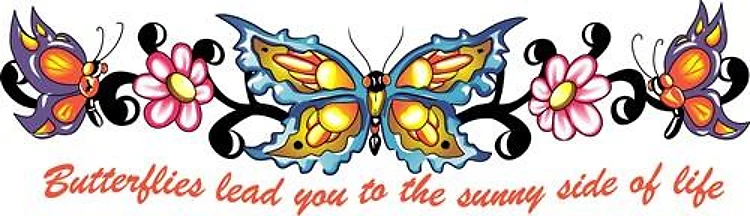 BUTTERFLIES LEAD YOU