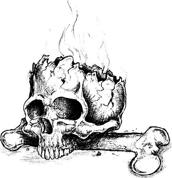 SKULL AND FEMUR