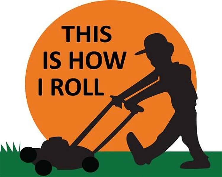 THIS IS HOW I ROLL