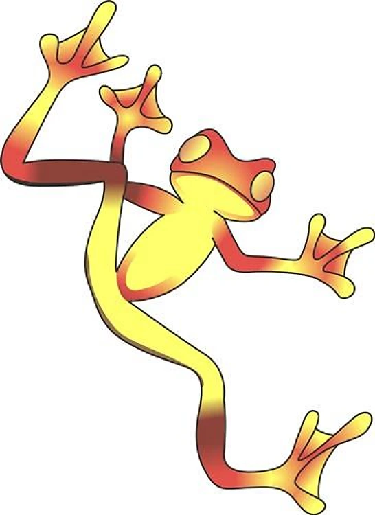 TREE FROG