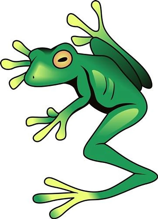 TREE FROG