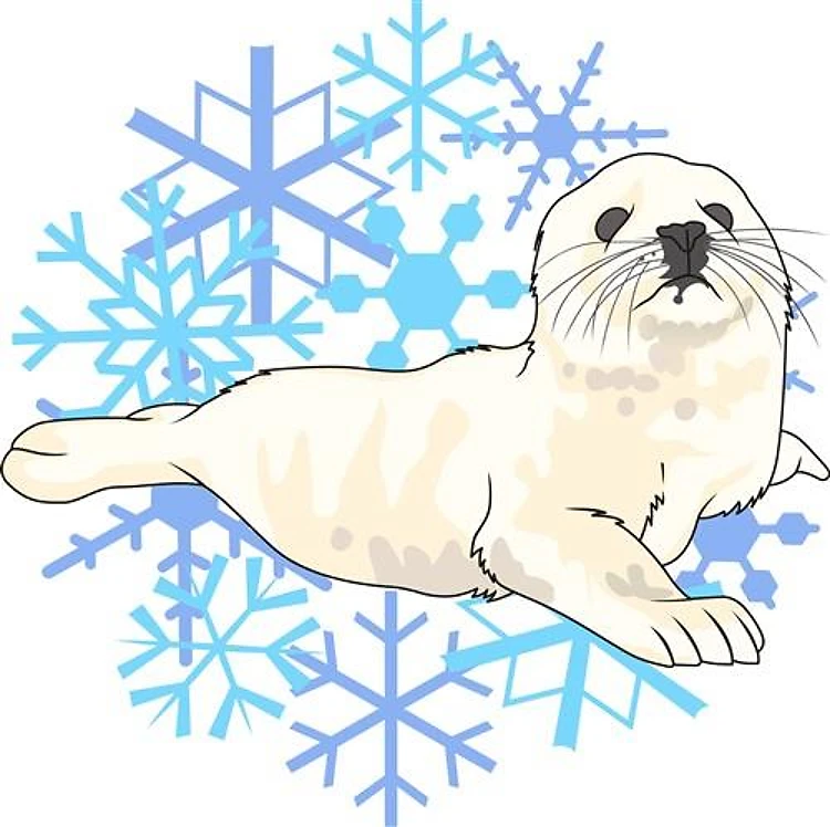 HARP SEAL SNOWFLAKES