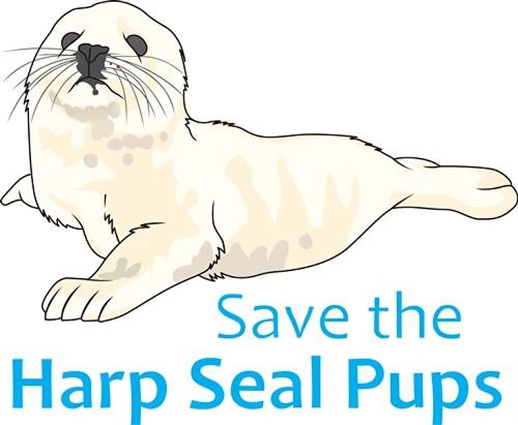 SAVE THE HARP SEAL PUPS