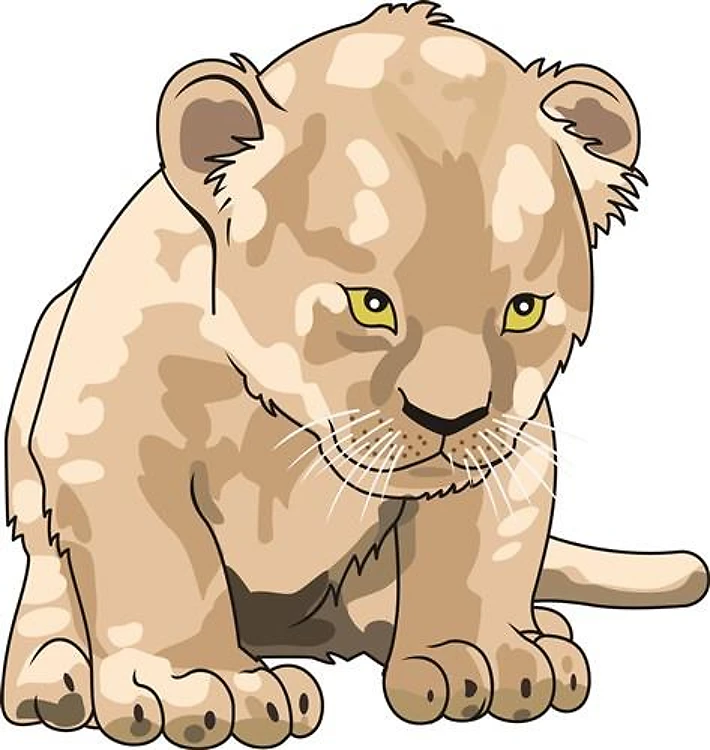 LION CUB