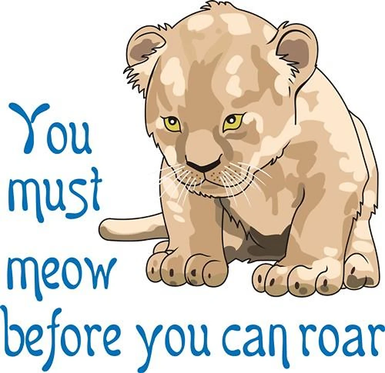 MEOW BEFORE ROAR