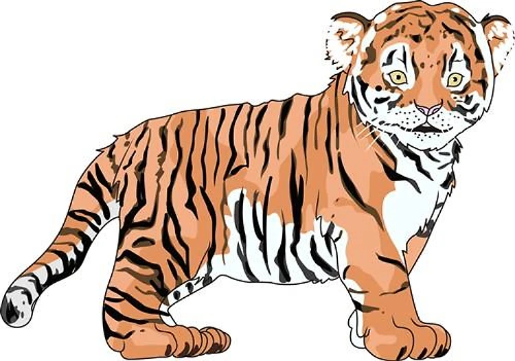 TIGER CUB