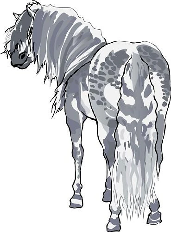 PERCHERON DRAFT HORSE