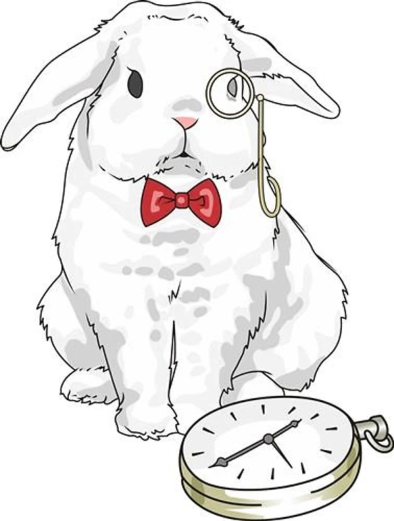 WONDERLAND RABBIT