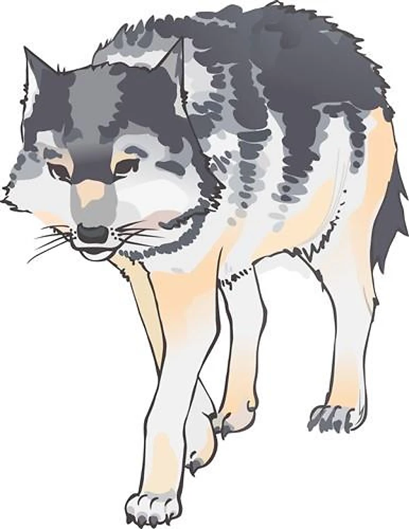 WOLF WALKING