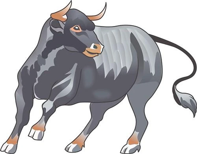 BULL