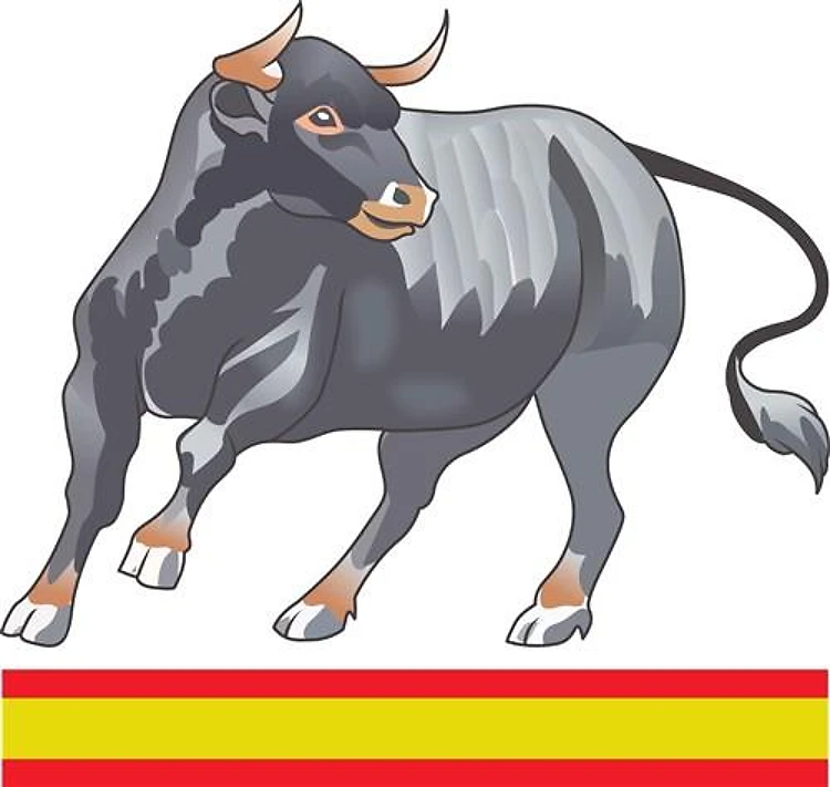 SPANISH BULL