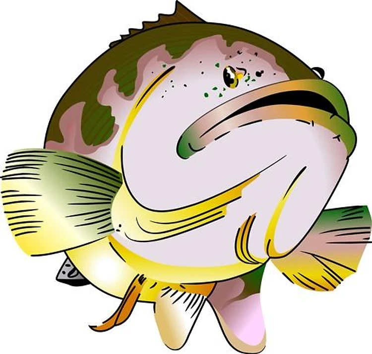 GROUPER FISH
