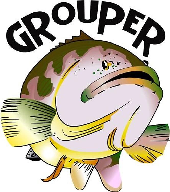 GROUPER FISH