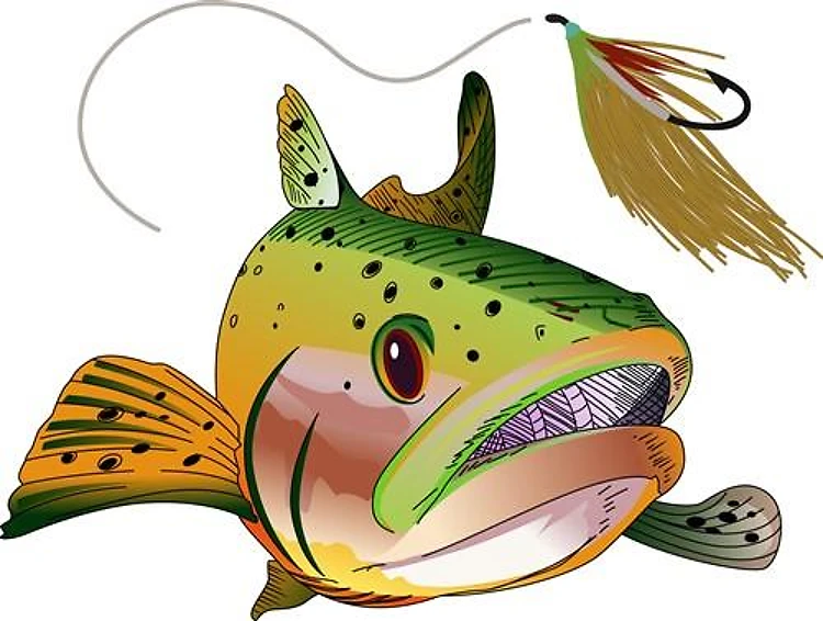 TROUT AND FLY