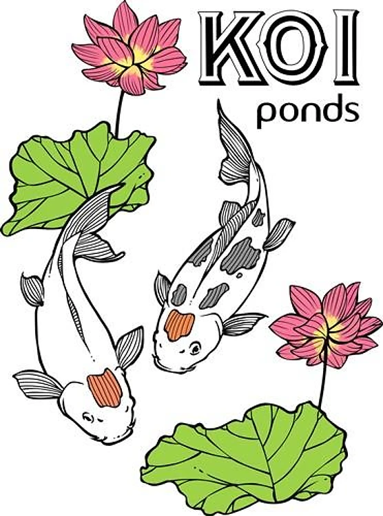KOI PONDS