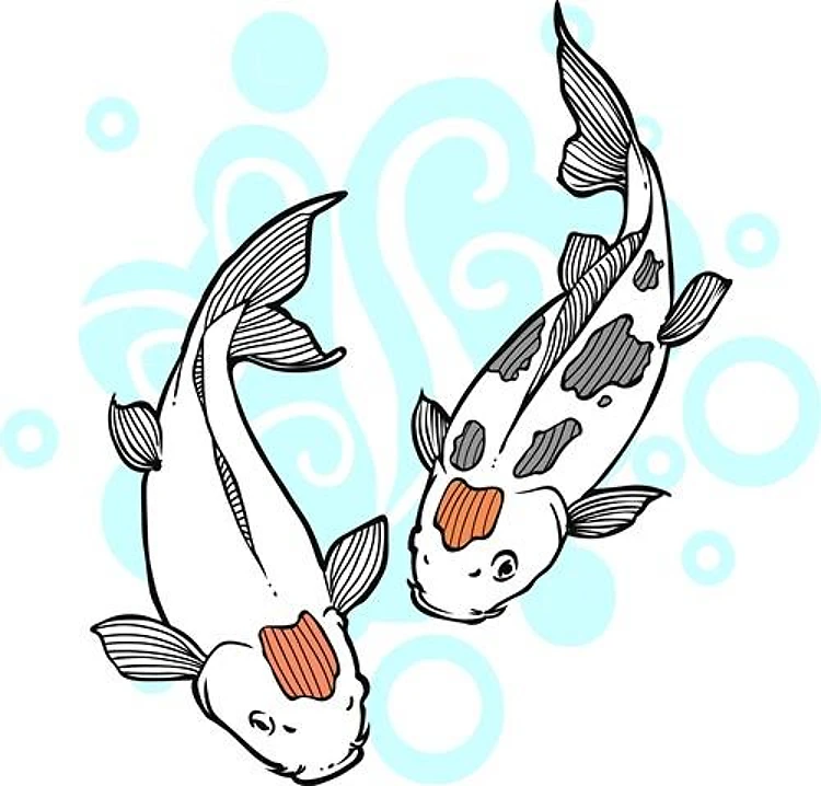 KOI AND WATER