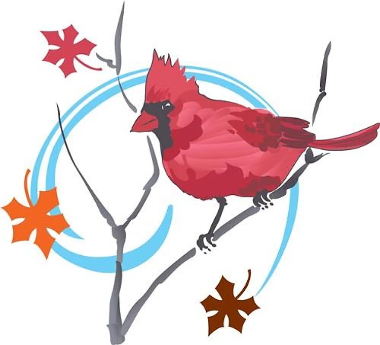 AUTUMN CARDINAL