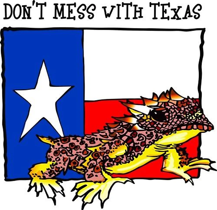 DONT MESS WITH TEXAS
