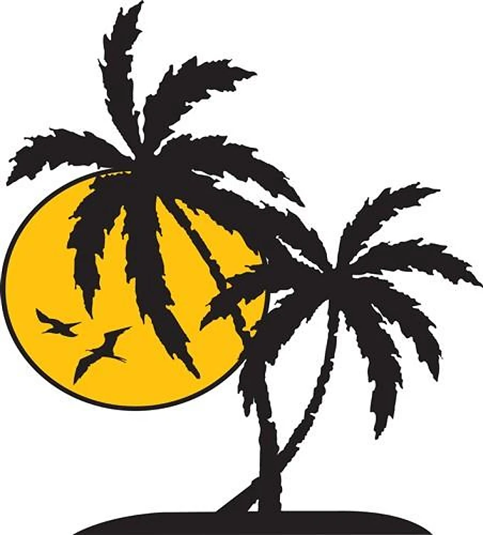 PALMS AND SUN