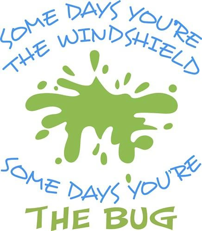 SOME DAYS YOURE THE BUG