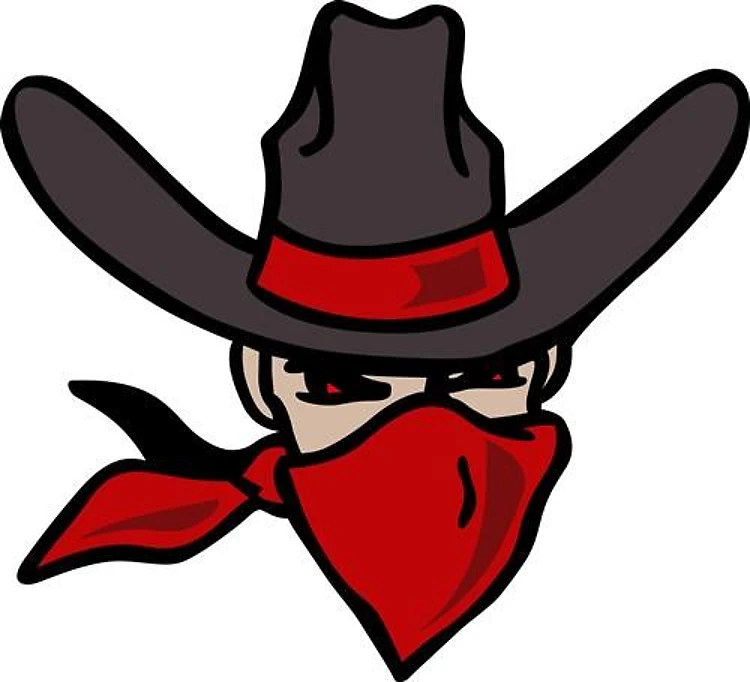 COWBOY OUTLAW