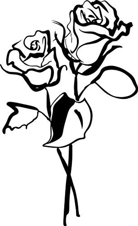 ONE COLOR ROSES