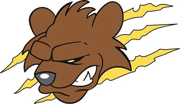 BEAR MASCOT