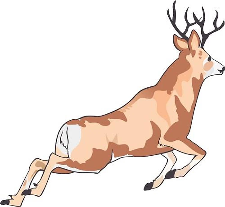 SMALL LEAPING DEER