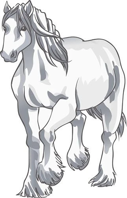 DRAFT HORSE