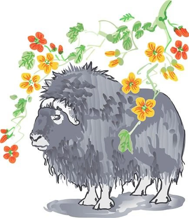 OX UNDER FLOWERING TREE