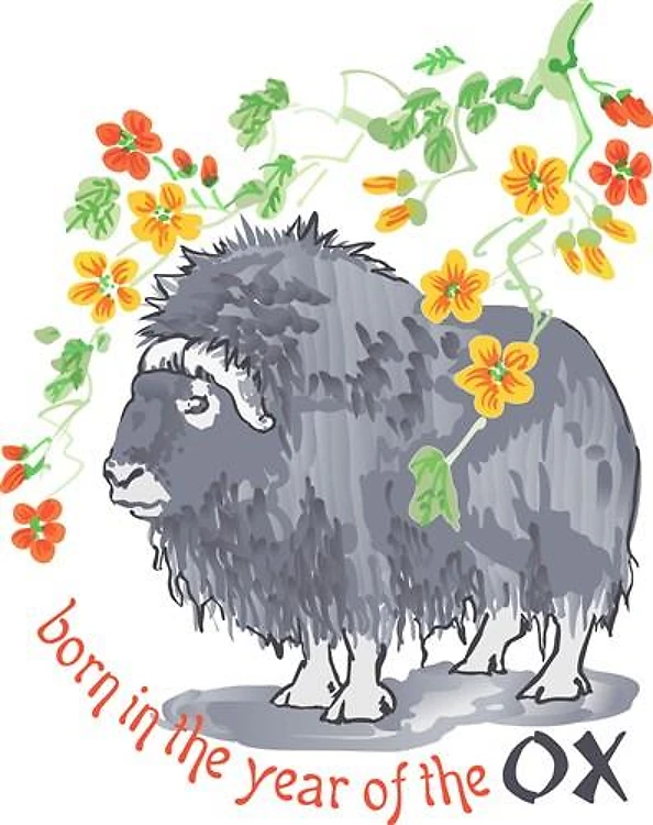 YEAR OF THE OX