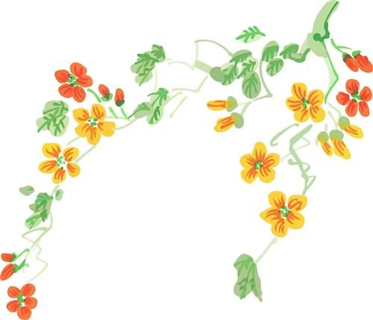 FLOWERING BRANCH