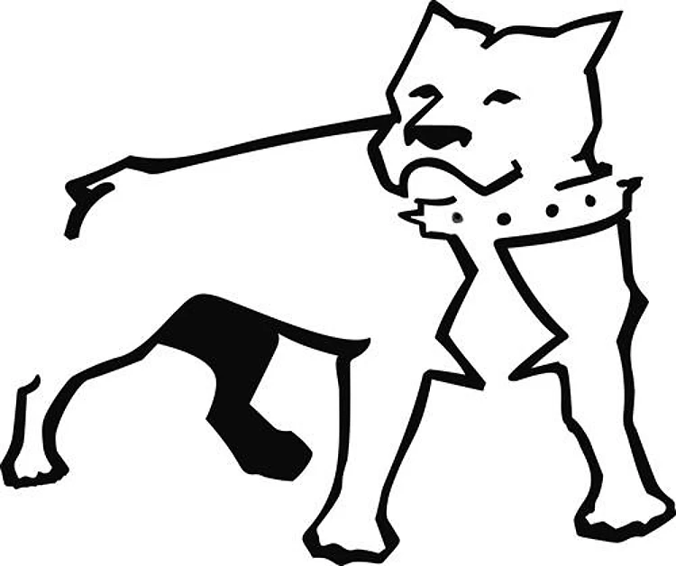 PITBULL OUTLINE
