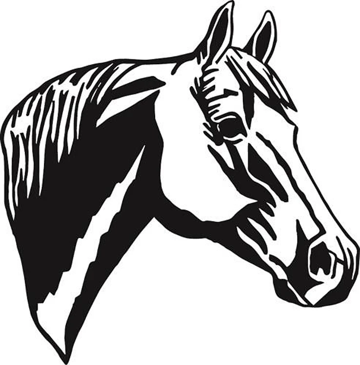 QUARTER HORSE HEAD