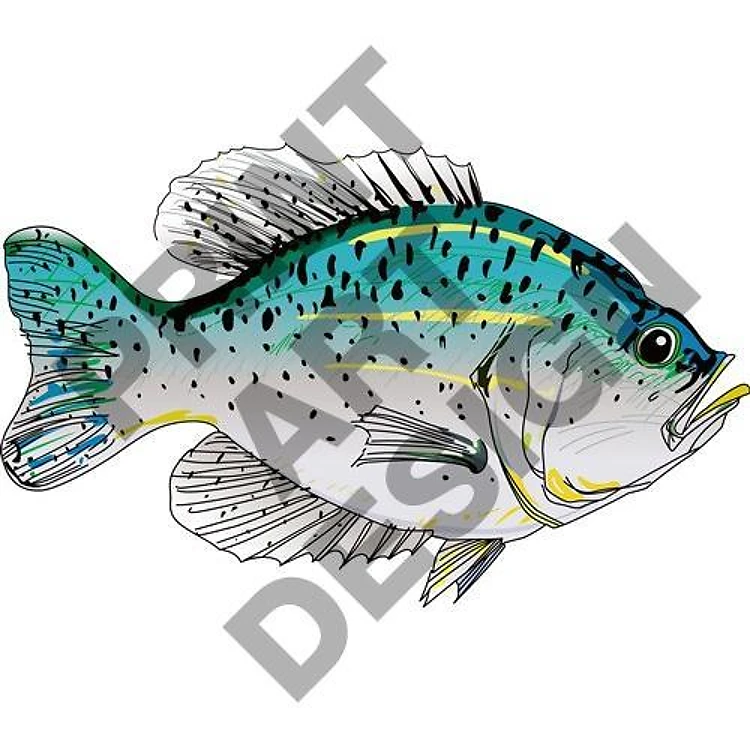 CRAPPIE FISH
