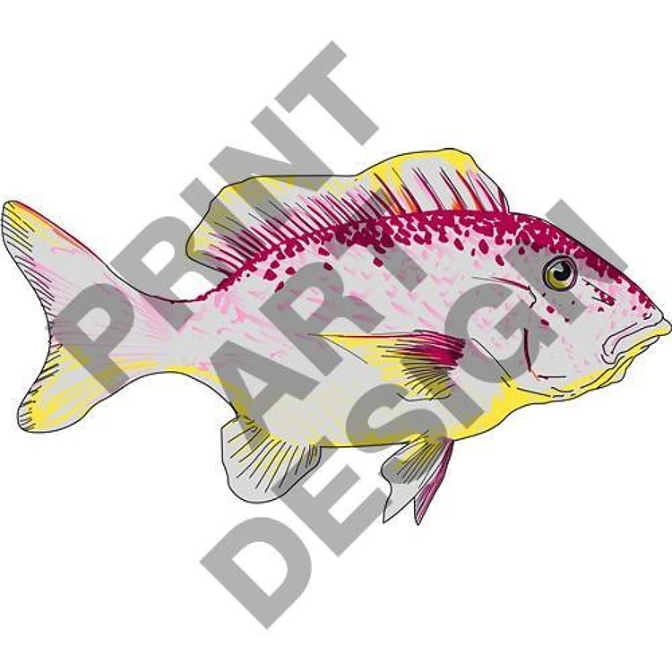 RED SNAPPER FISH