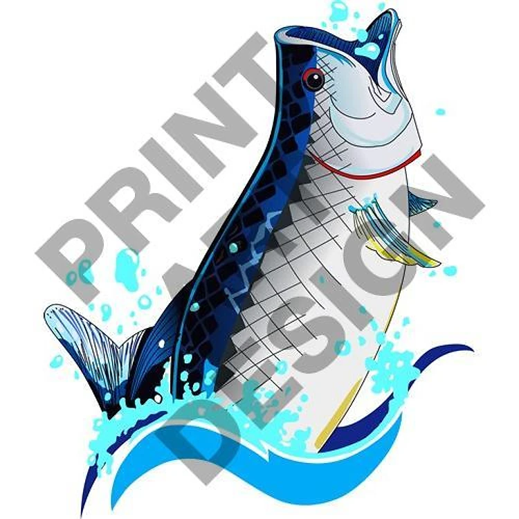 TARPON FISH