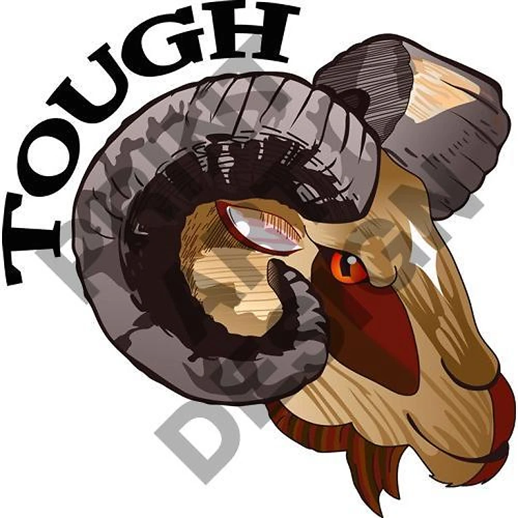 RAM TOUGH