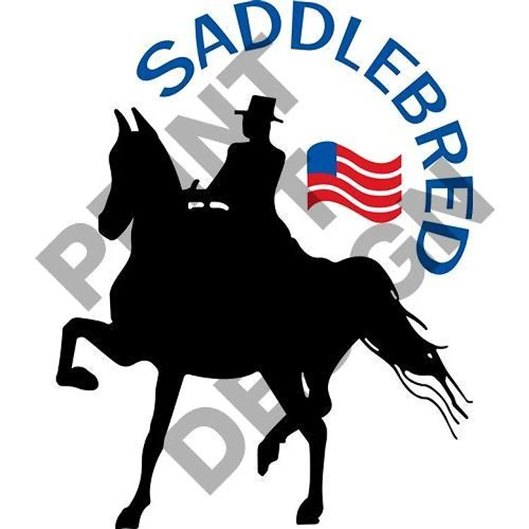 AMERICAN SADDLEBRED
