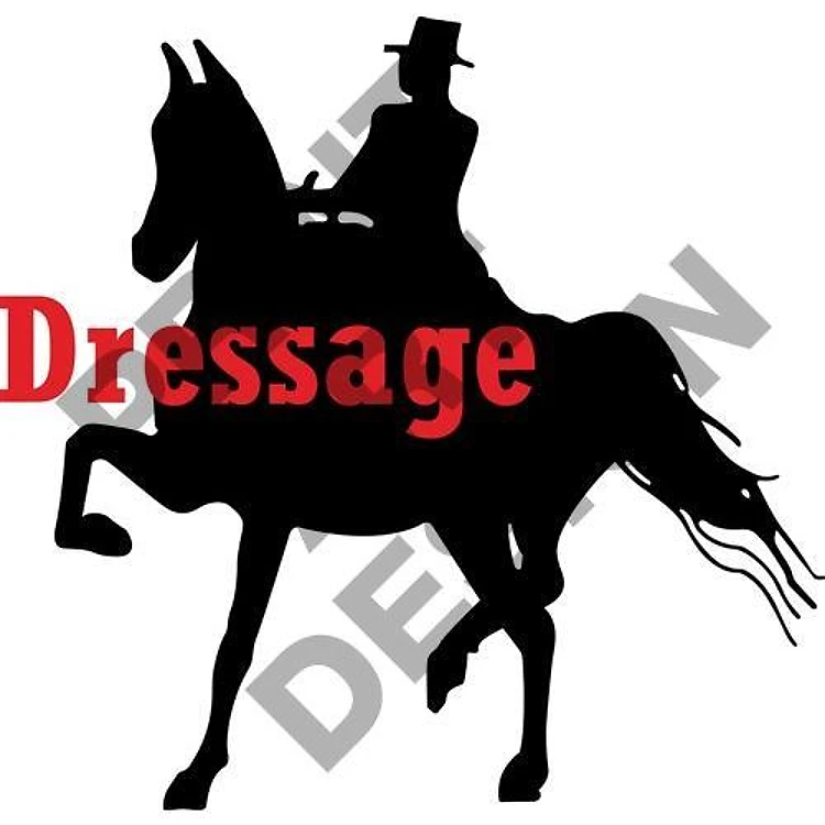 EQUISTRIAN DRESSAGE
