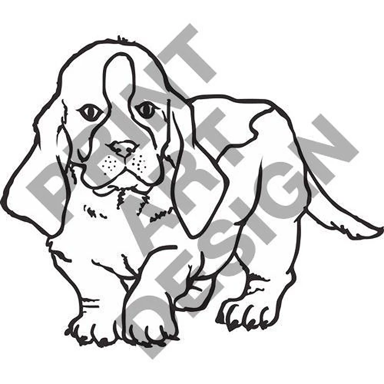 BASSET HOUND OUTLINE