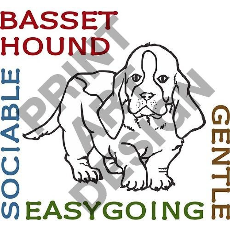 BASSET HOUND TRAITS