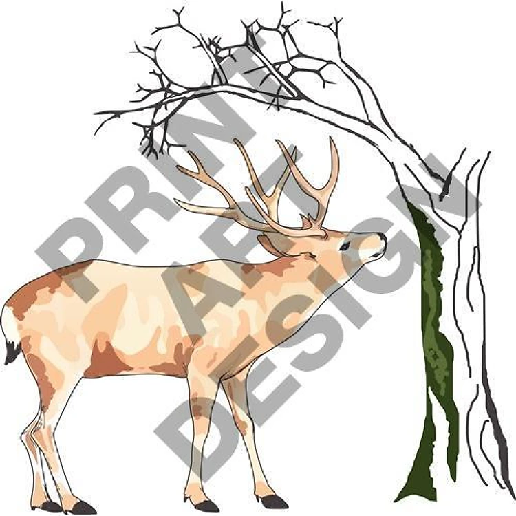 DEER EATING MOSS