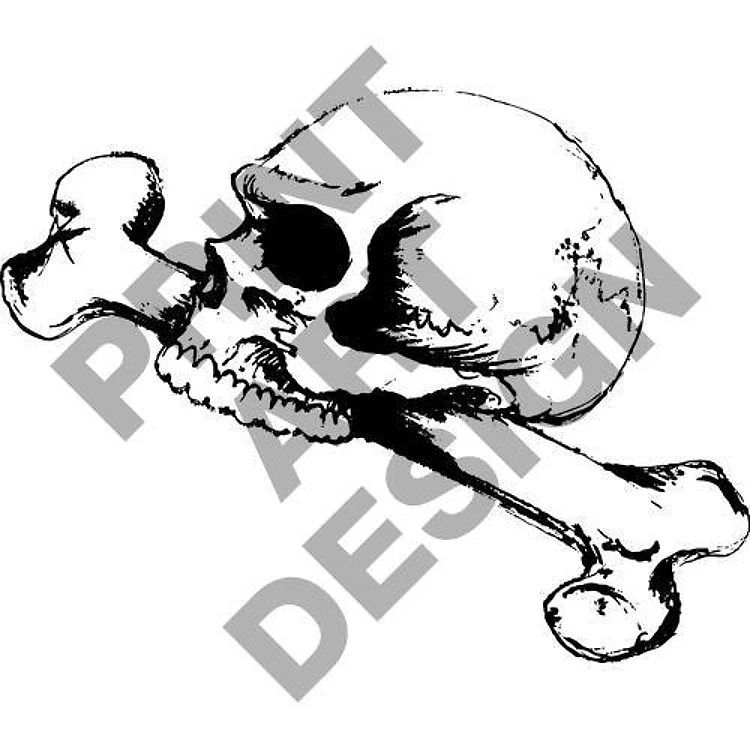 SKULL AND FEMUR